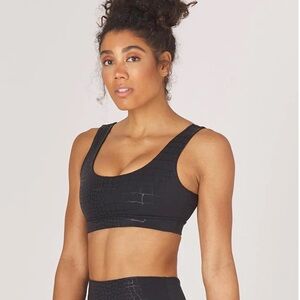 NWT Glyder Spendid bra